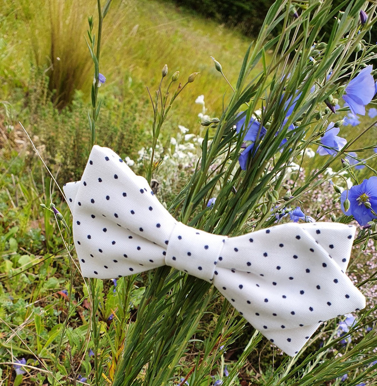 Noeud papillon à pois Image
