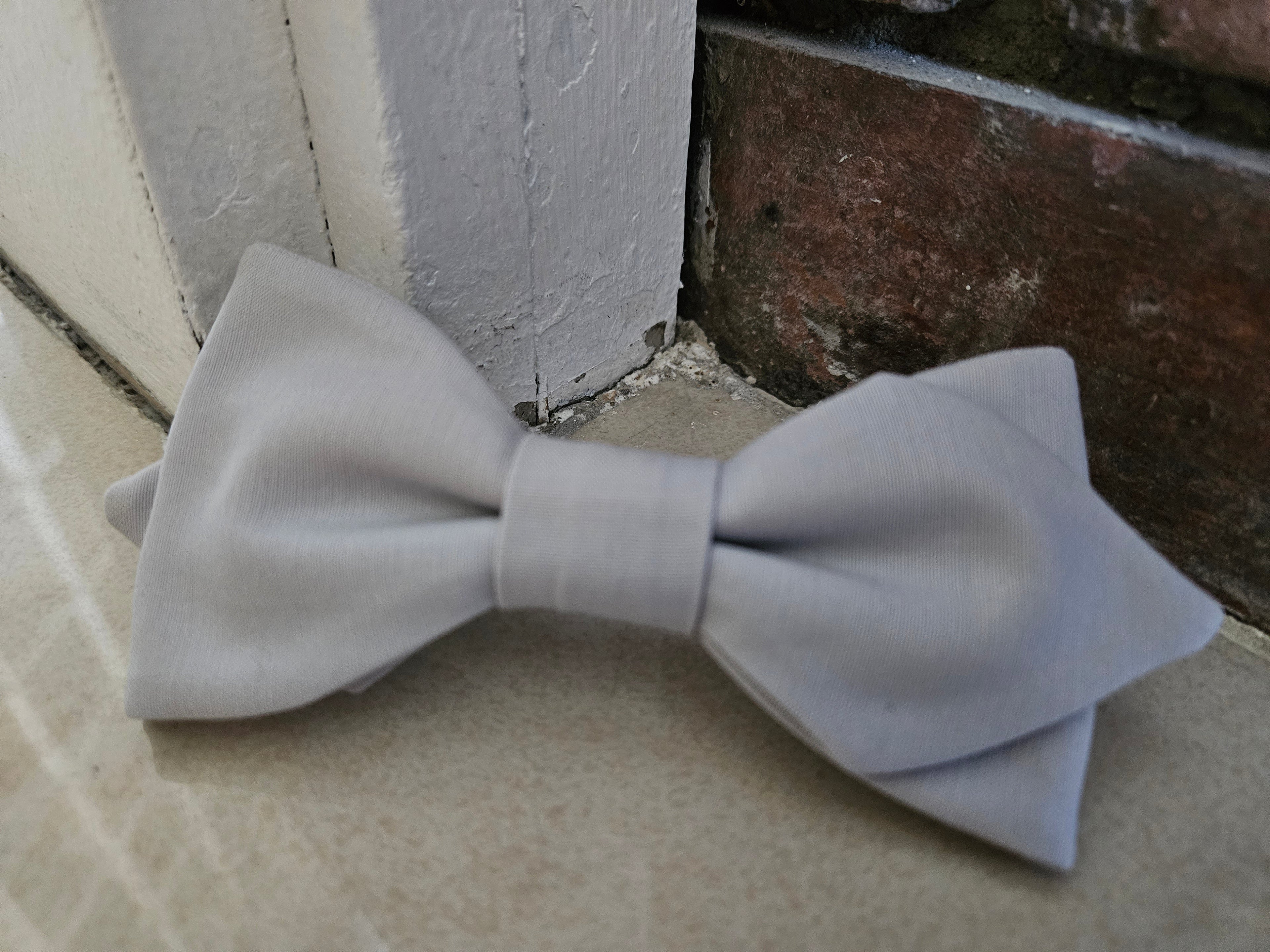 Noeud papillon gris pour homme Image