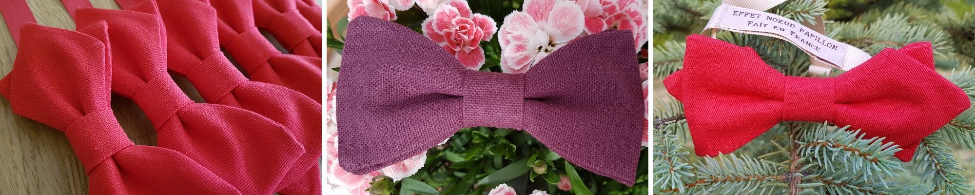 noeud papillon rouge homme pour mariage Image