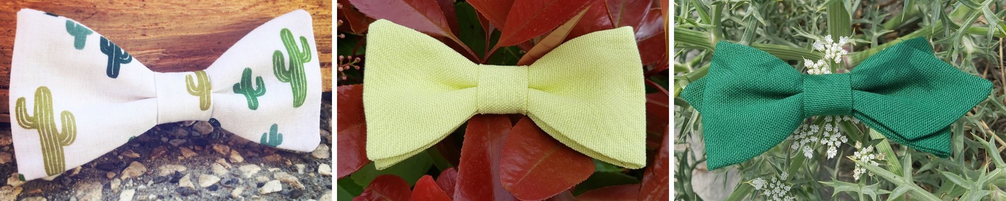 noeud papillon vert homme pour mariage Image