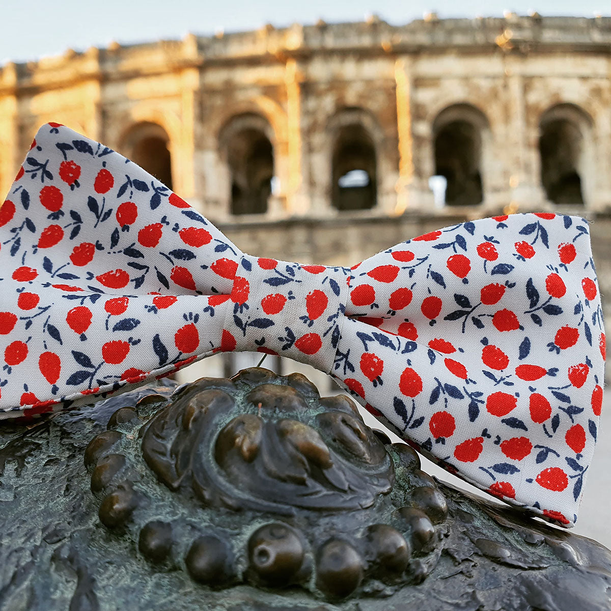 Noeud papillon Liberty Image