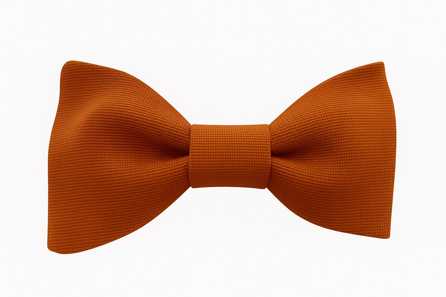 Noeud Papillon Orange Image