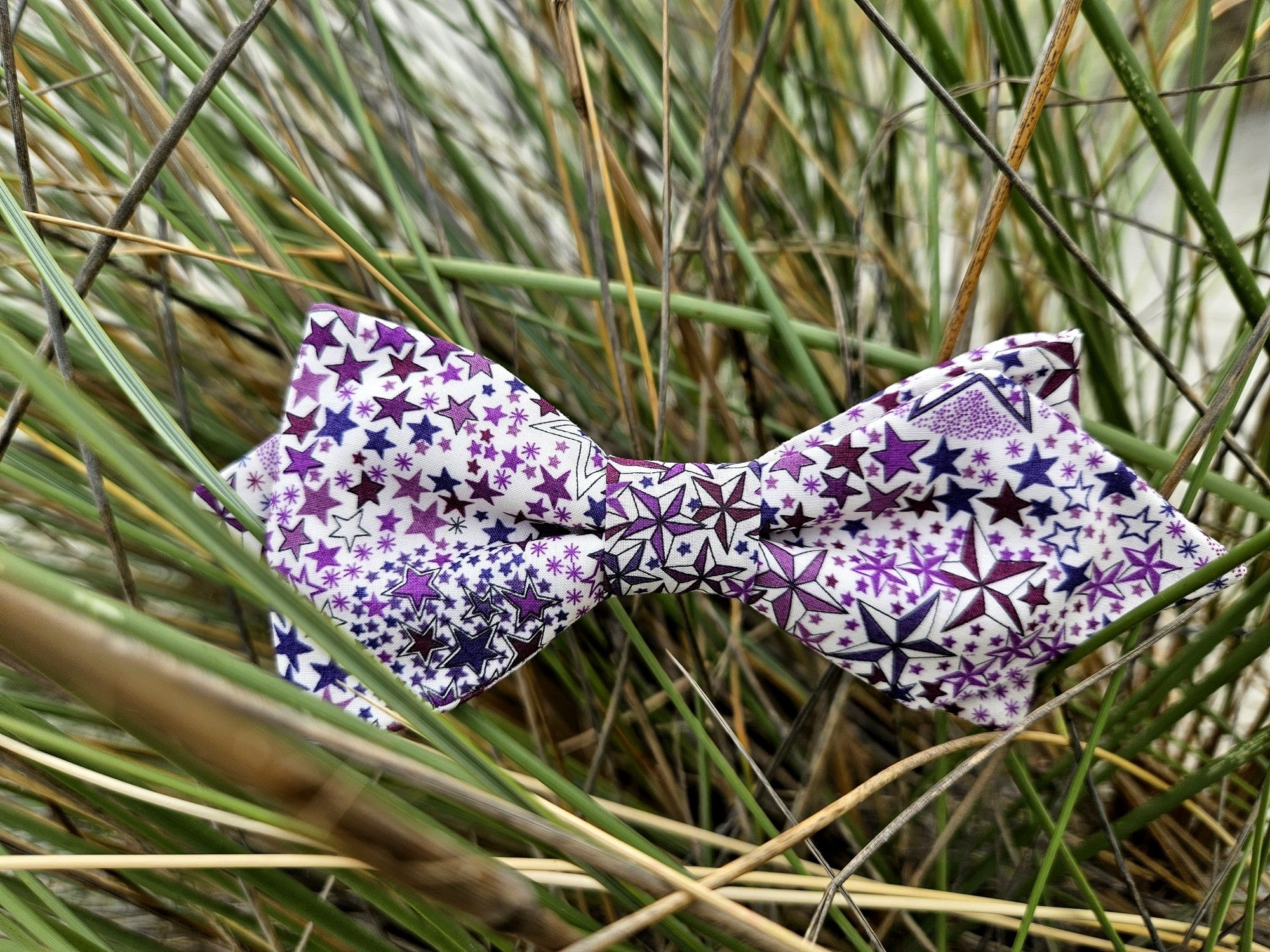 Noeud papillon Violet Image