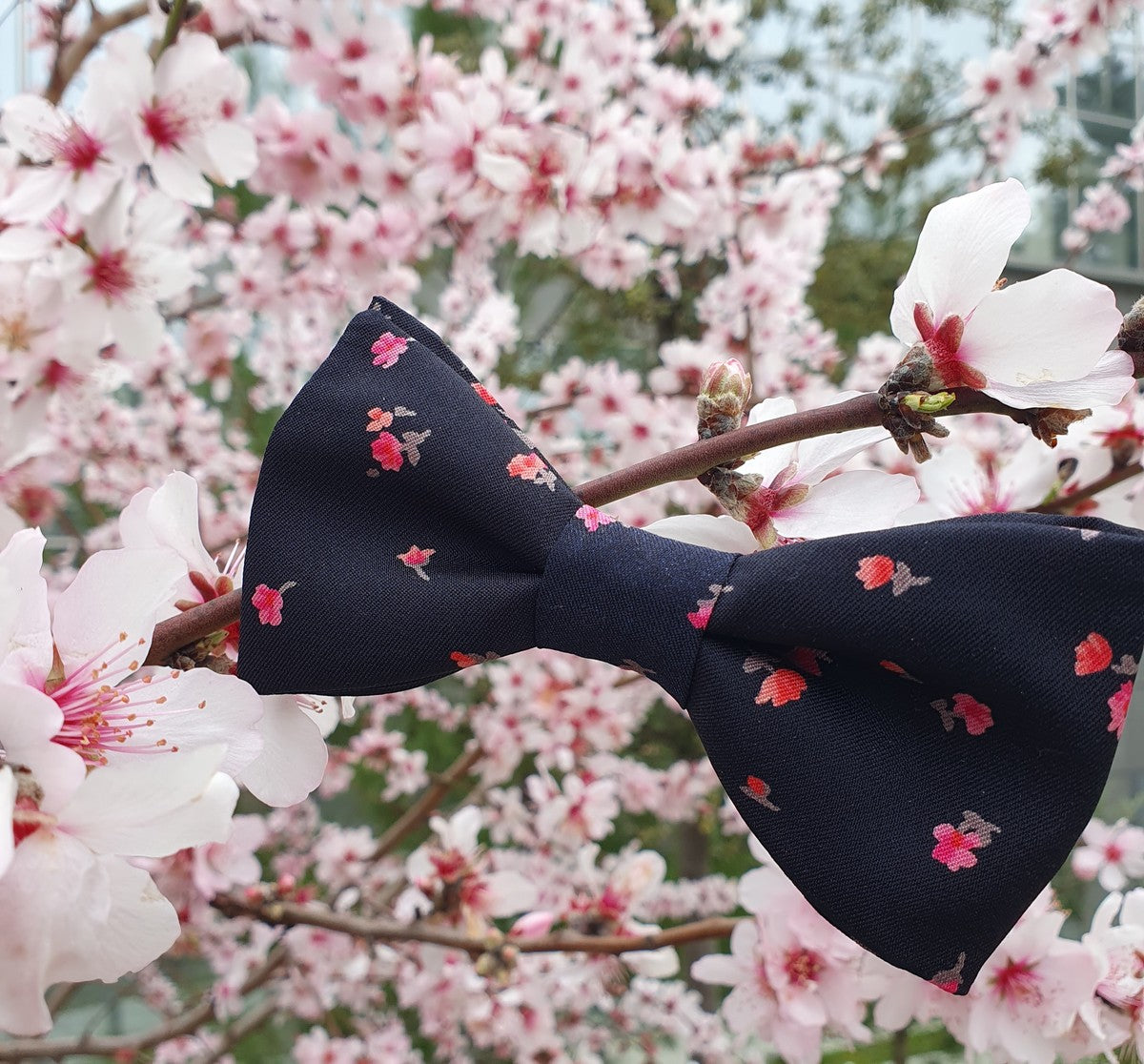 Noeud papillon fleuri roses sur fond noir