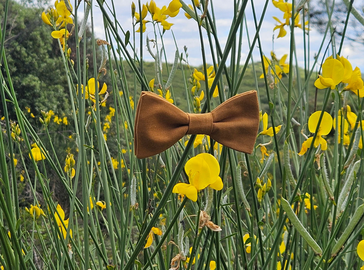 Noeud papillon cognac