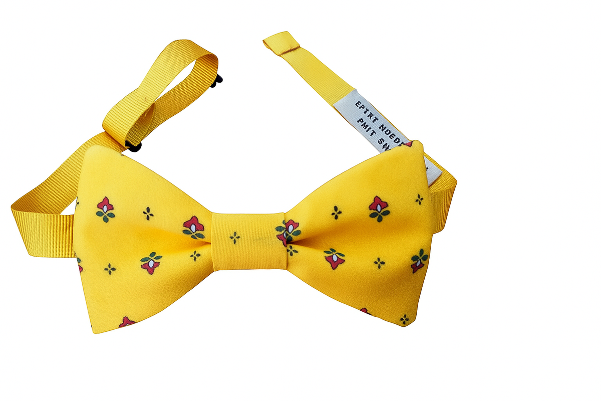 Noeud papillon provençal jaune curcuma calissons rouges