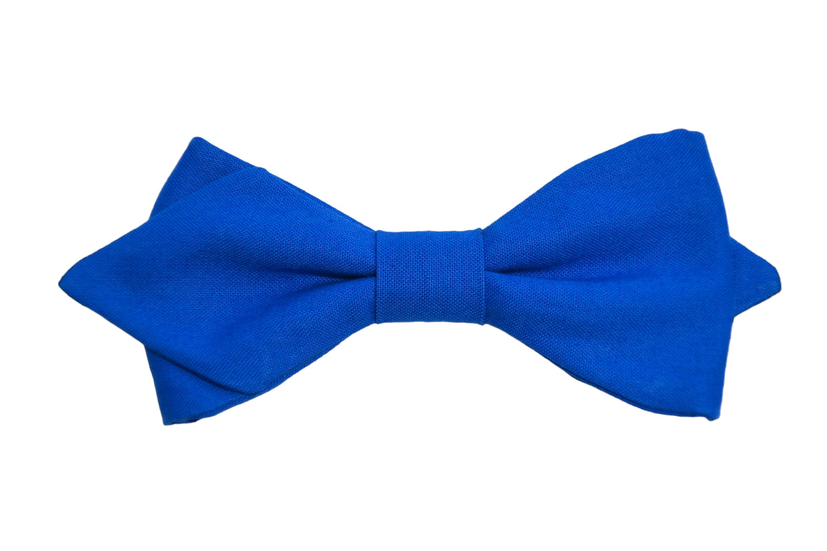 noeud papillon bleu roi
