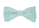 Nœud papillon vichy vert jade, une touche de fraîcheur et d'élégance pour un style classique revisité
