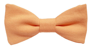 Noeud papillon Orange abricot - Effet Noeud Pap