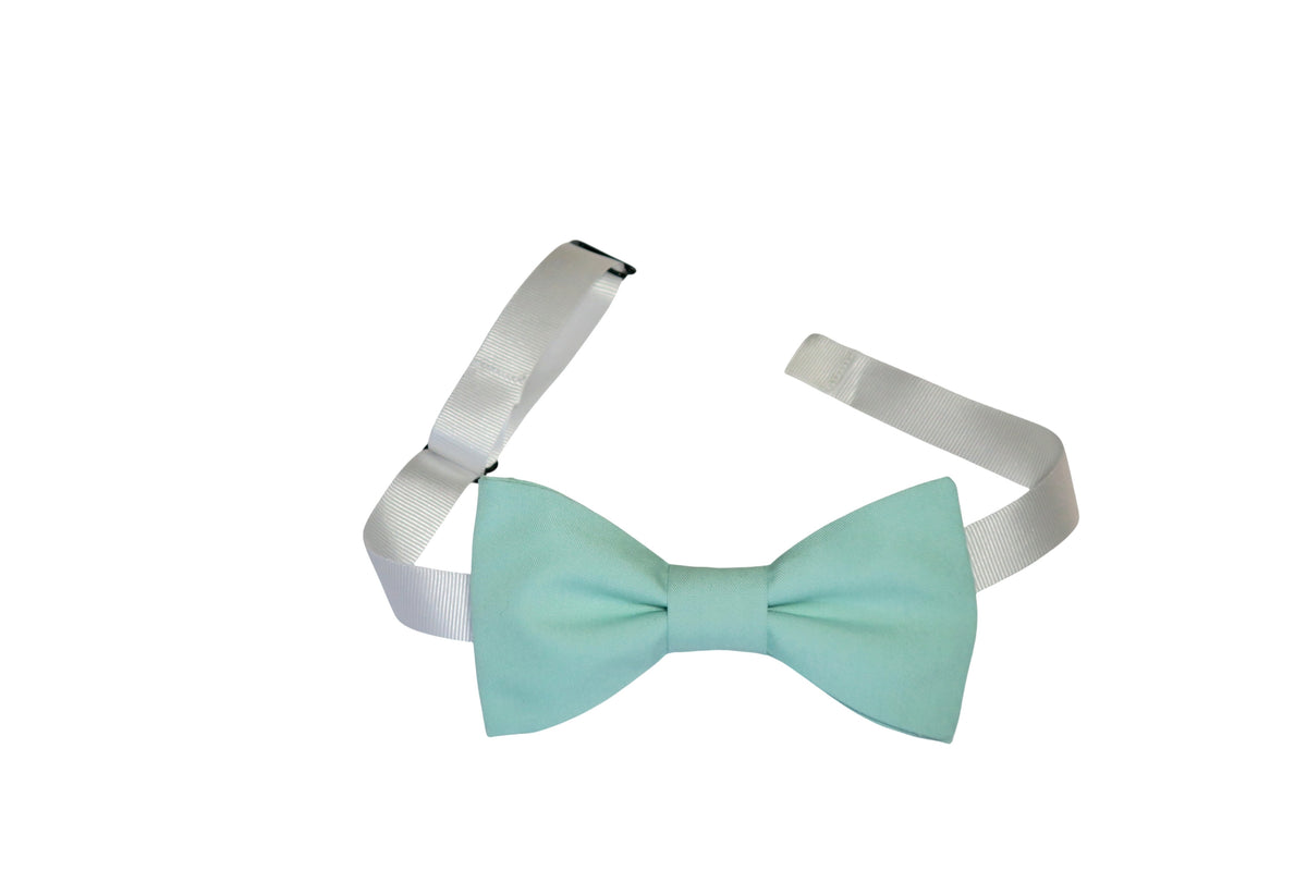 Noeud papillon bleu glacier
