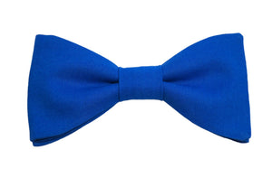 Nœud papillon bleu roi