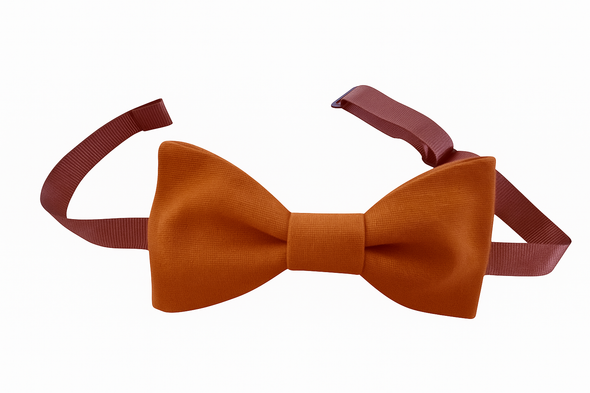 Noeud papillon Camel