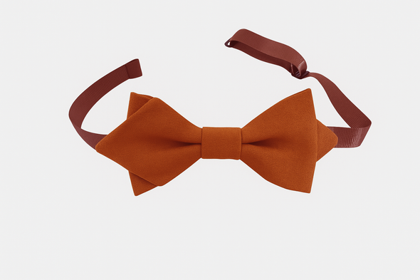 Noeud papillon Camel