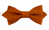 Nœud papillon camel tendance, accessoire mode homme pour cérémonie et réception