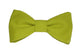Noeud papillon citron vert
