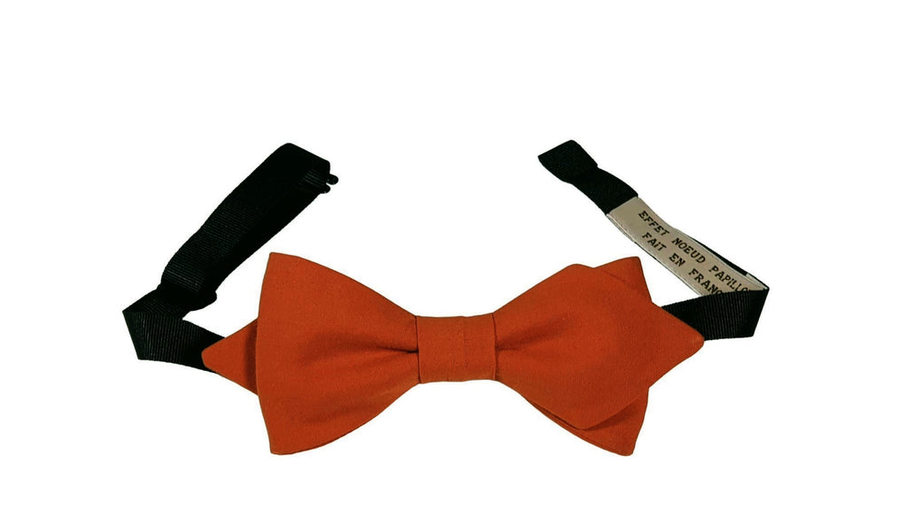 Noeud papillon Terre de Sienne