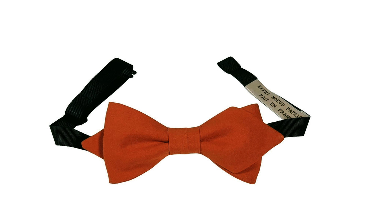 Noeud papillon Terre de Sienne