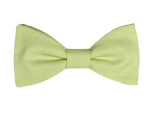 Nœud papillon vert tilleul