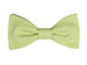 Nœud papillon vert tilleul