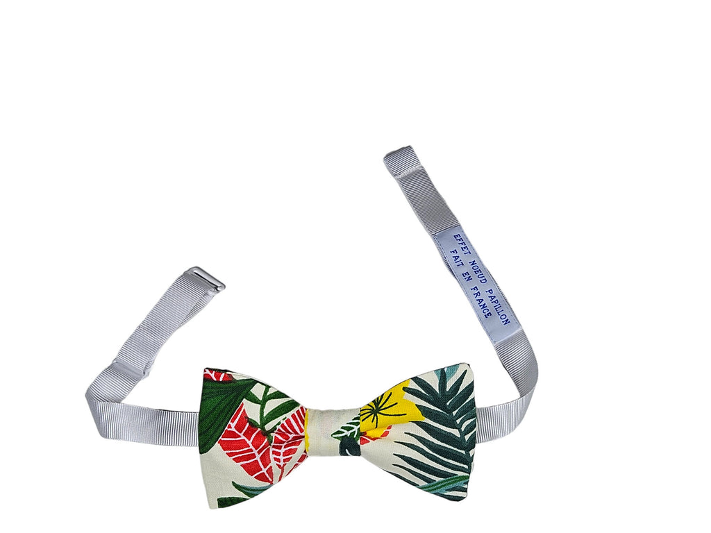 Noeud papillon exotique tropical