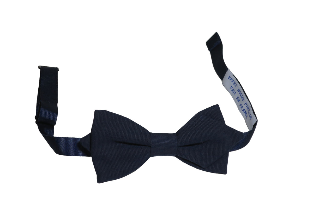 Noeud papillon bleu rayures ton sur ton - Effet Noeud Pap
