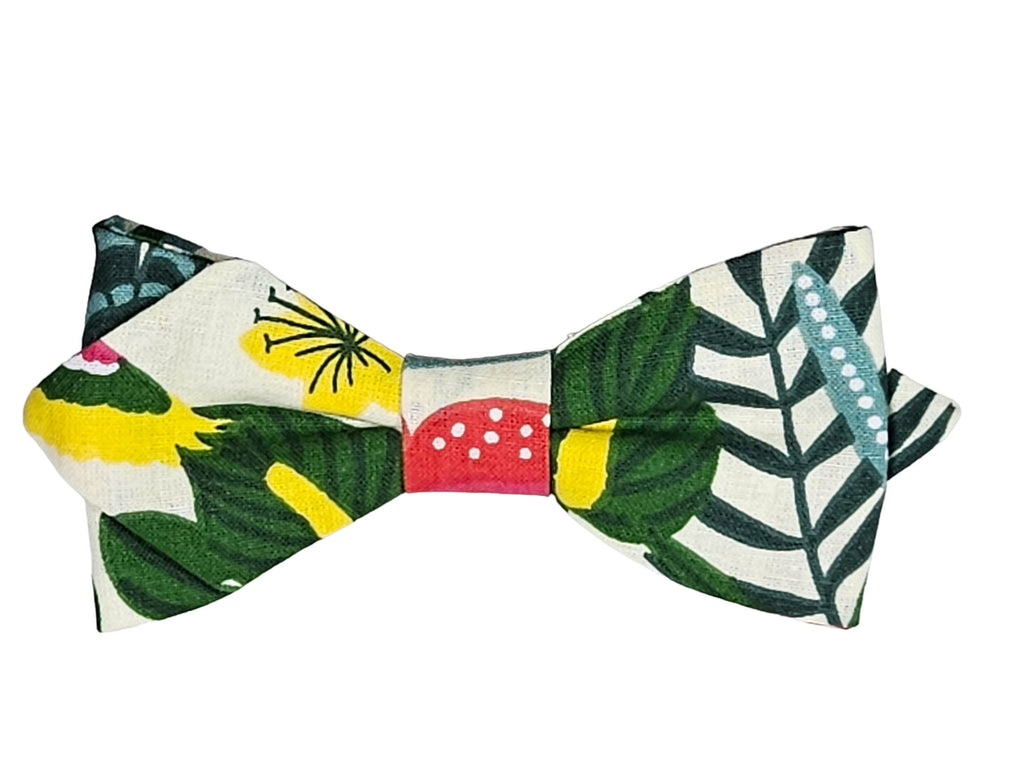 Noeud papillon exotique tropical – vue de face