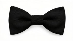Noeud papillon noir de jais