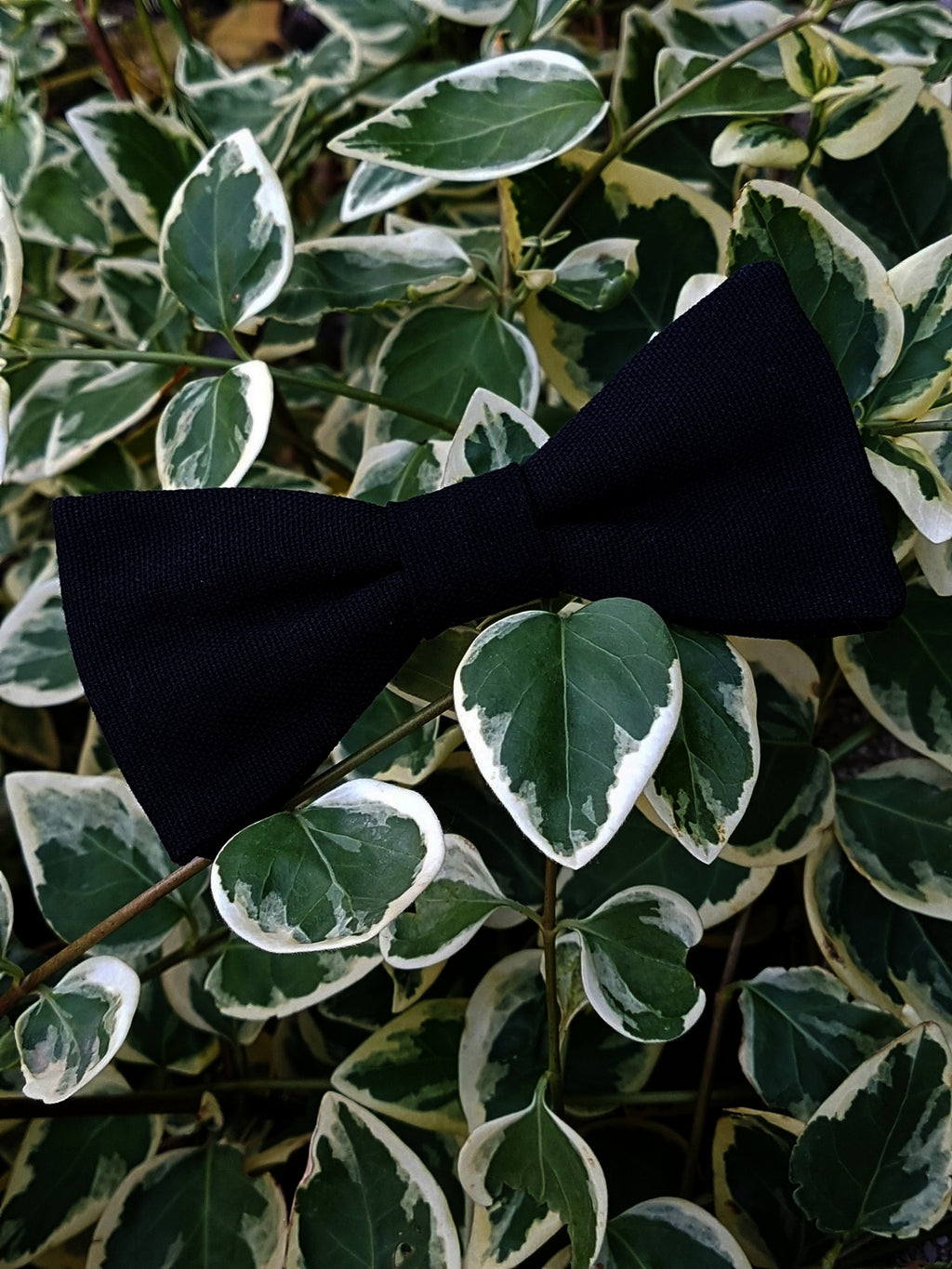 Noeud papillon noir de jais