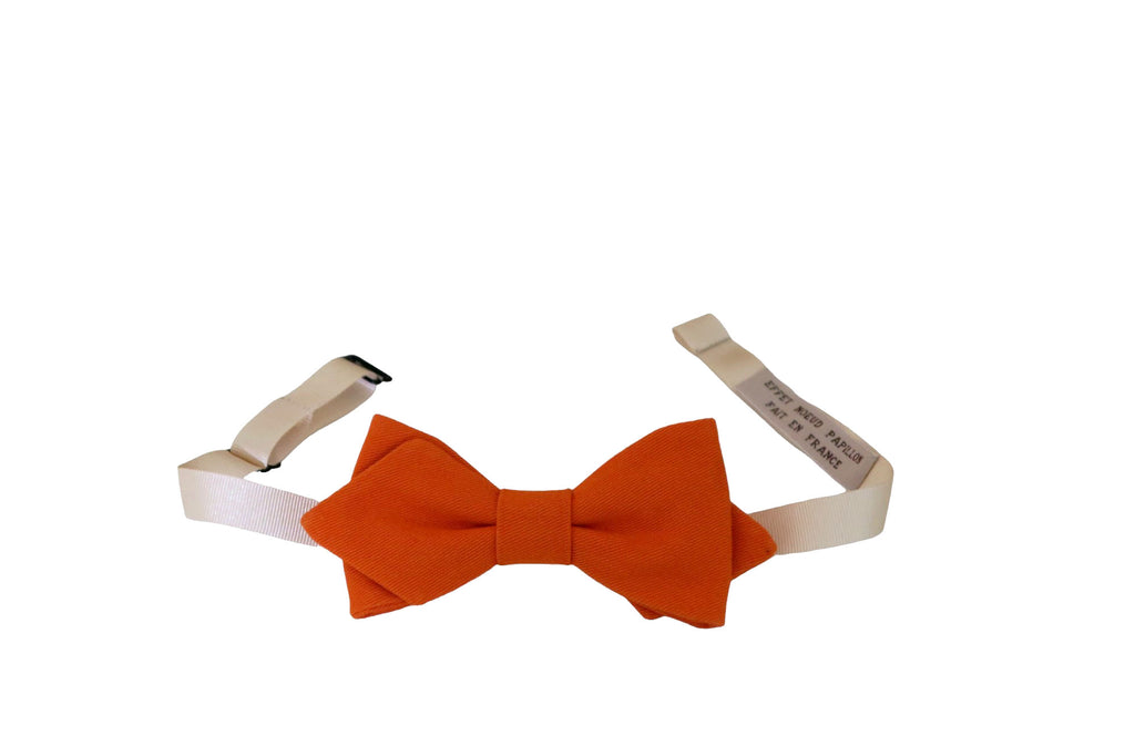 Noeud papillon orange Citrouille - Effet Noeud Pap