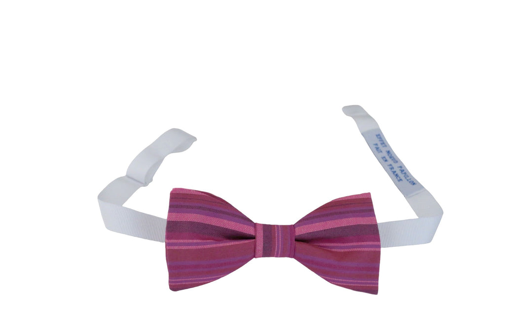 Noeud papillon rayé rose et prune - Effet Noeud Pap