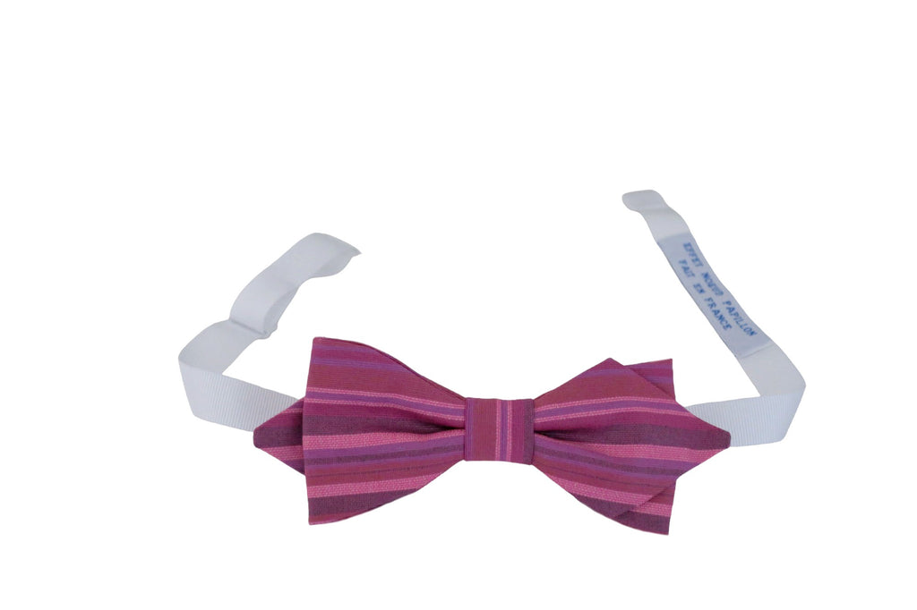 Noeud papillon rayé rose et prune - Effet Noeud Pap