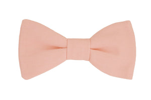 Noeud papillon rose clair