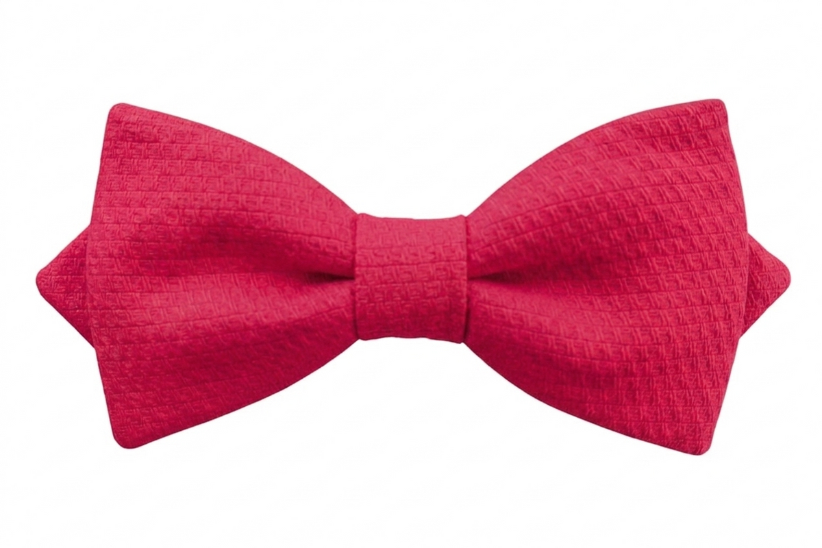 Noeud papillon rose framboise