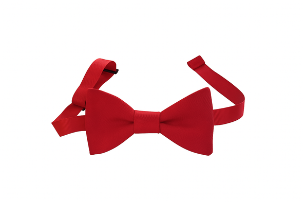 Noeud papillon rouge carmin