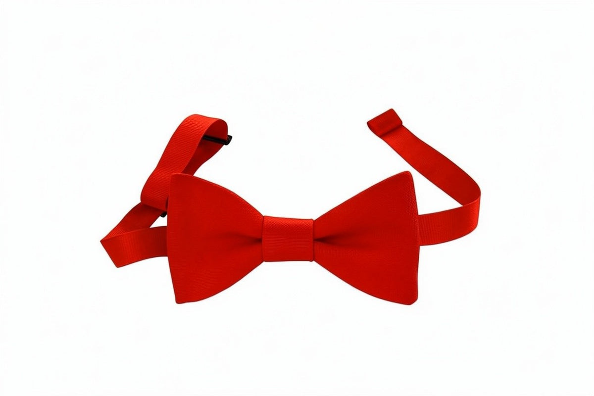 Noeud papillon rouge écarlate