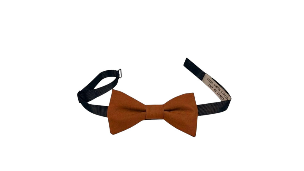 Noeud papillon brun rouille