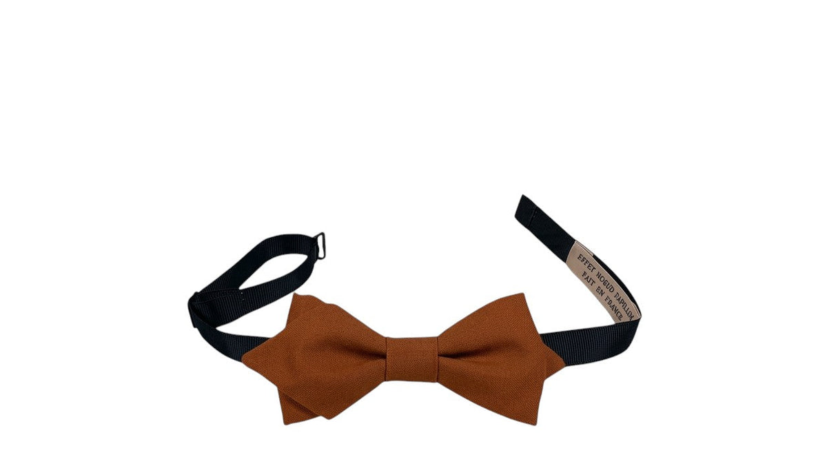Noeud papillon brun rouille