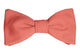 Teinte corail du nœud papillon, entre orange et rose saumon