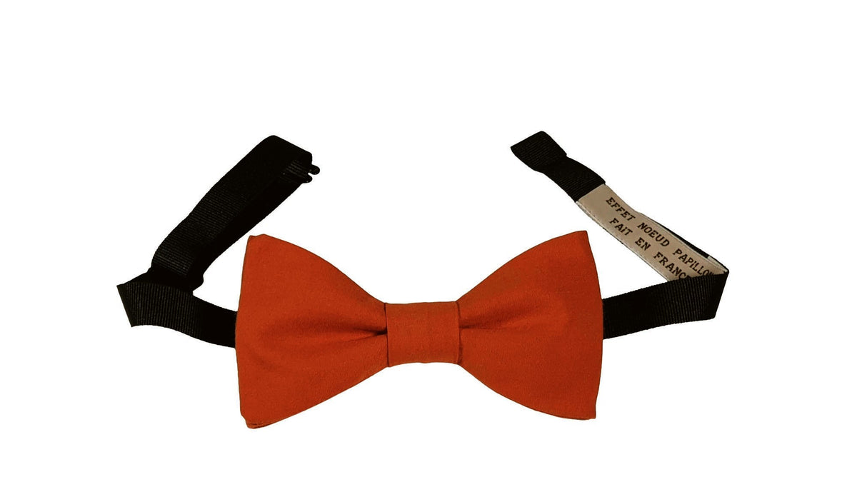 Noeud papillon Terre de Sienne