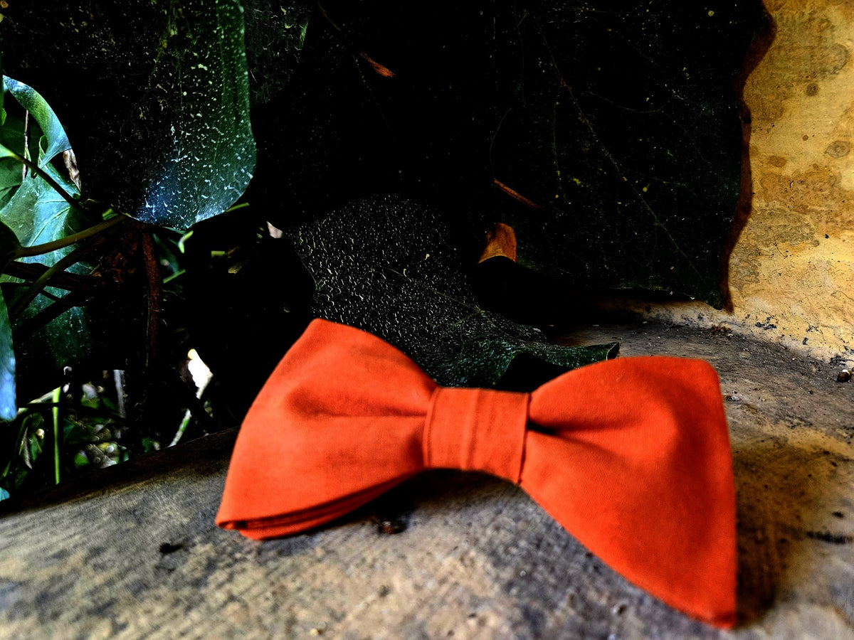 Noeud papillon Terre de Sienne