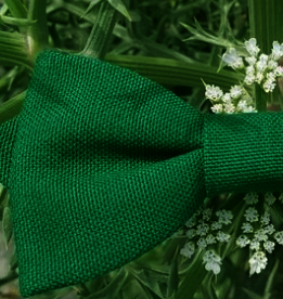 Noeud papillon Vert Sapin Foncé - Effet Noeud Pap