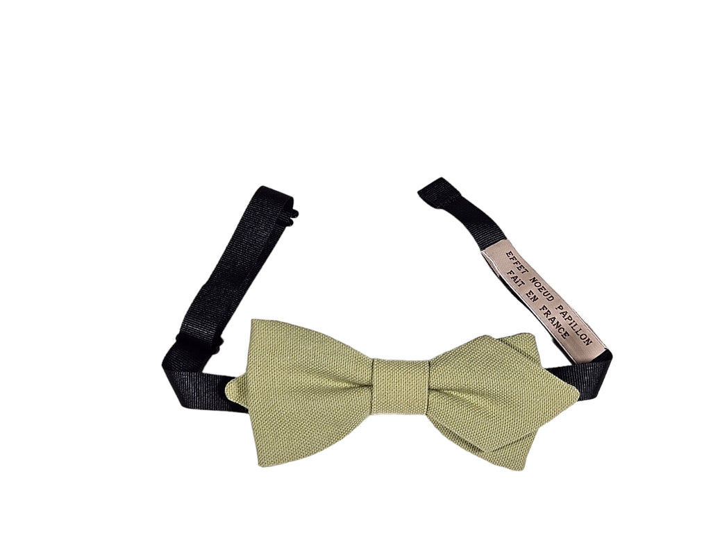 Noeud papillon vert pâle - Effet Noeud Pap