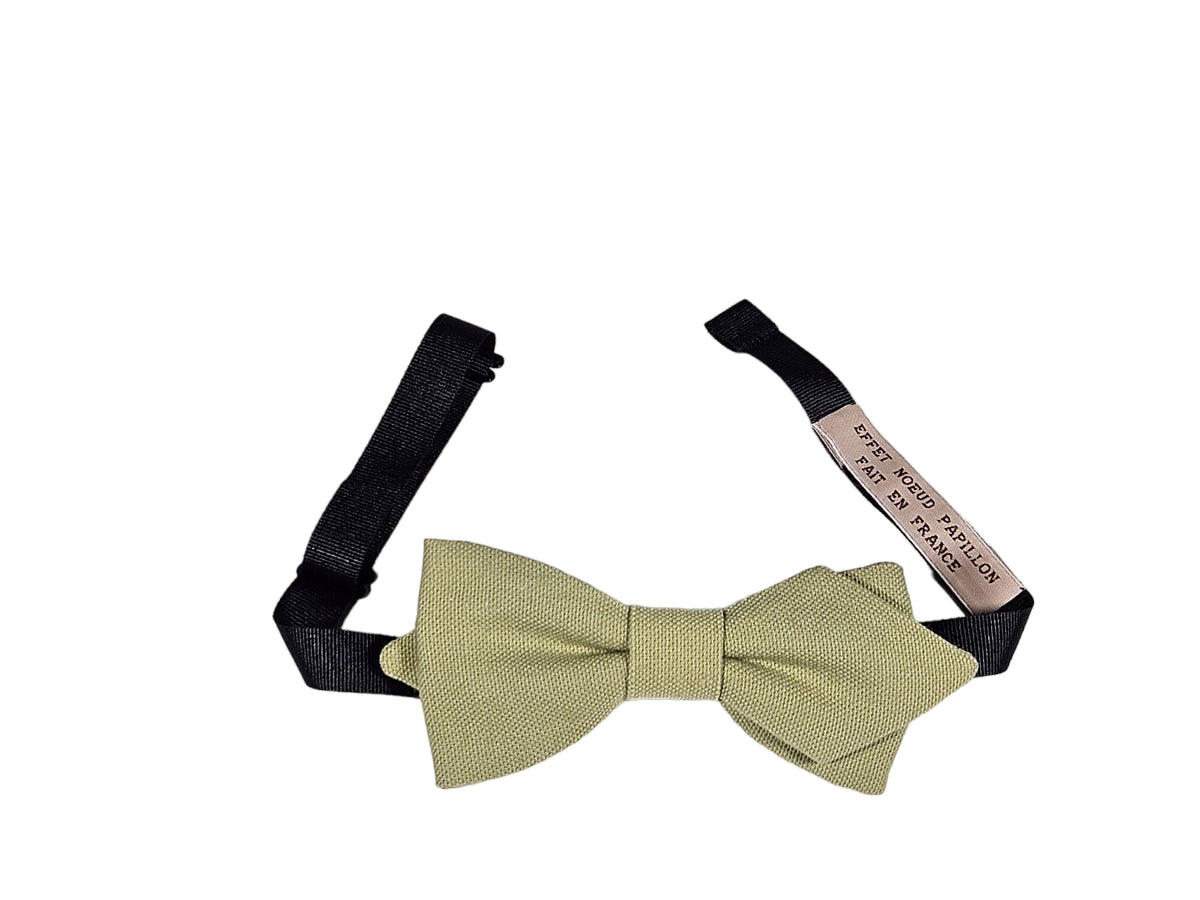 Noeud papillon vert pâle - Effet Noeud Pap