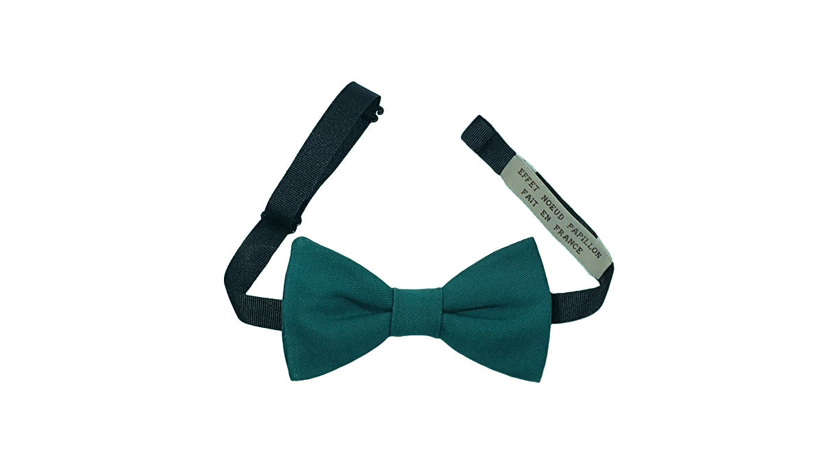 Noeud papillon vert bouteille