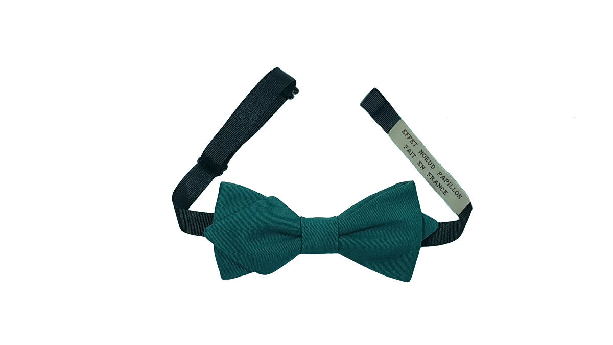 Noeud papillon vert bouteille