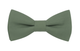 Noeud papillon vert sauge