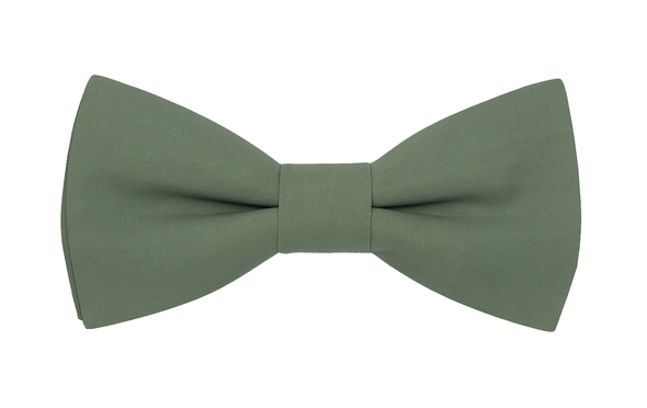 Noeud papillon vert sauge