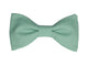 Nœud papillon vert clair