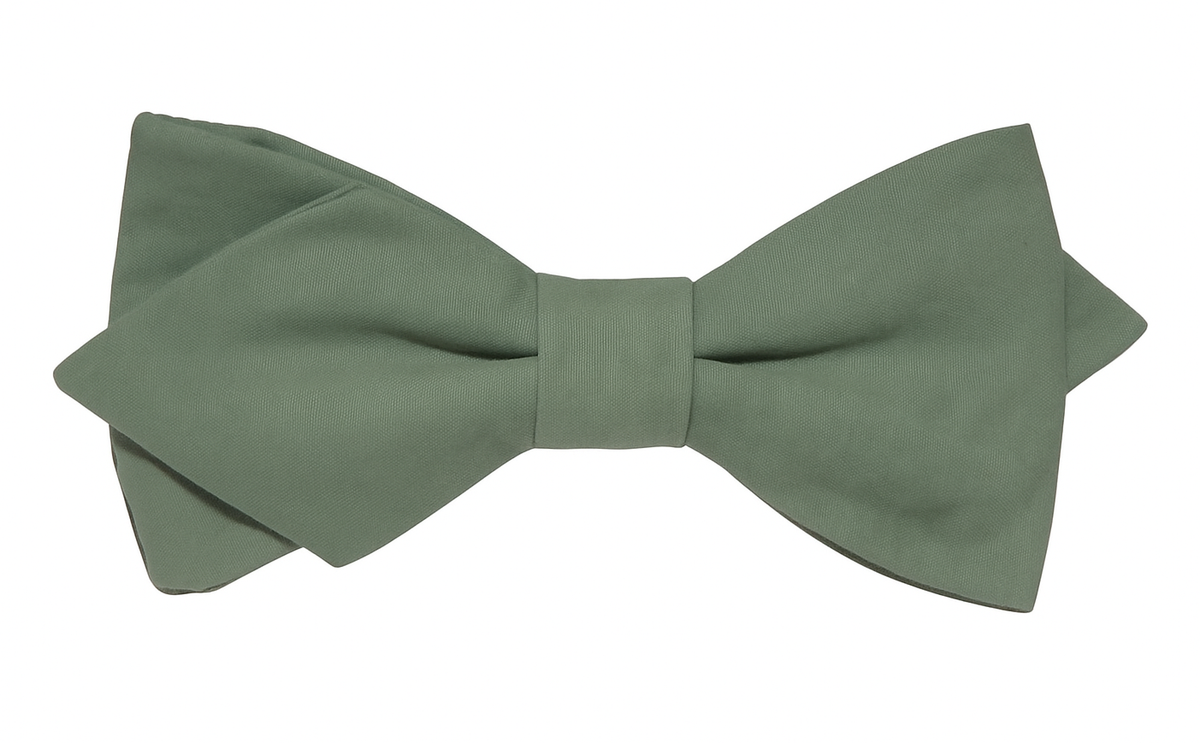 Nœud papillon vert sauge homme, parfait pour mariage bohème ou champêtre