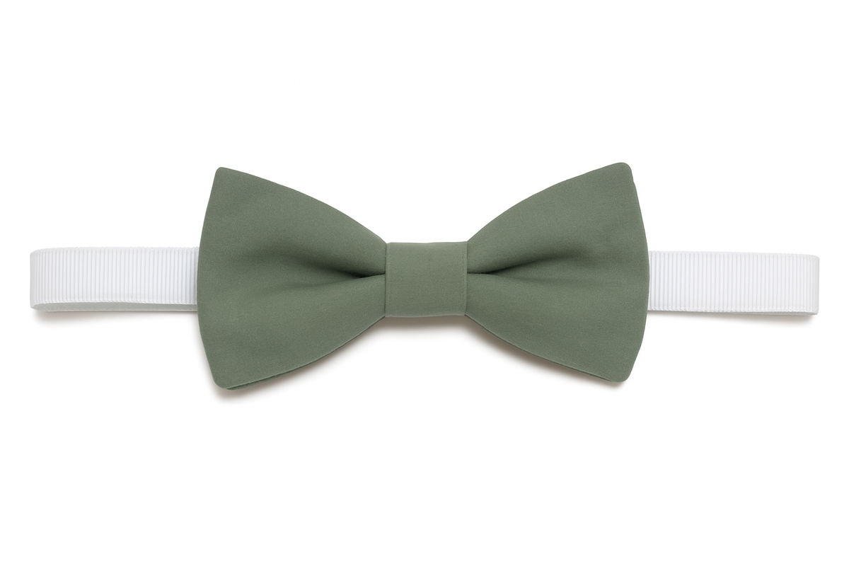 Noeud papillon vert sauge